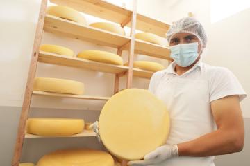 Queso tipo Suizo semimaduro producido en La Libertad hace historia en Brasil