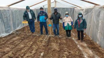 Región Lima: Agro Rural inicia la instalación de 500 hectáreas de pastos cultivados y la entrega de 120 fitotoldos