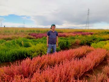 Se presentan líneas estratégicas para potenciar la competitividad de ocho sectores productivos en el Perú