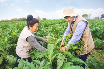 Se viene el Congreso Nacional de Estudiantes de Ingeniería Agrícola