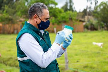 Senasa determinará condición sanitaria de la producción de cuencas lecheras en San Martín