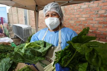 Siembras y cosechas en el campo garantizan normal abastecimiento de alimentos