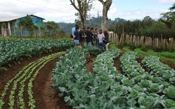 Unión Europea pretende restaurar el 70% de las tierras agrícolas para 2030