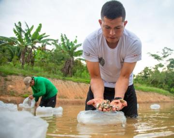 Vraem: proyecto de producción de peces amazónicos beneficia a 597 familias