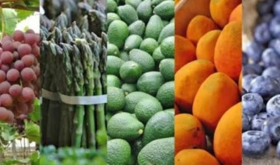 Chile y México entre los principales destinos de la agroexportación peruana hasta julio de 2026