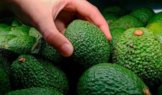 Consumo per cápita de palta Hass en EE. UU. Expone profunda brecha comercial entre regiones
