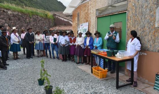 Cusco: capacitan a productores de Ayaviri en mejoramiento genético de ...
