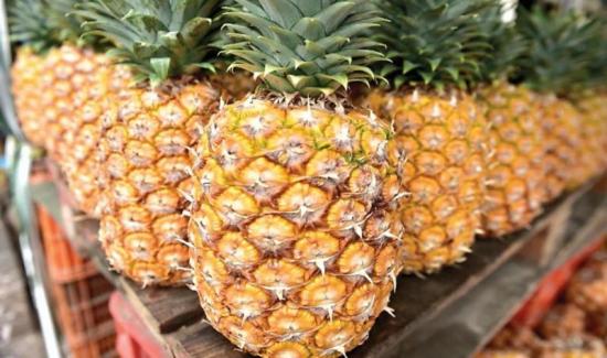 Envíos de piña tuvieron el mejor inicio de año de su historia