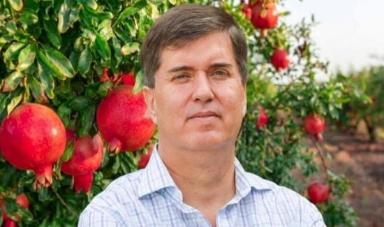 Evergreen Agro consolida el despegue de la granada de Tacna y proyecta fuerte crecimiento hasta 2030