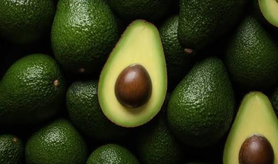 Exportaciones peruanas de palta crecieron +16.7% en valor en el primer semestre de 2025