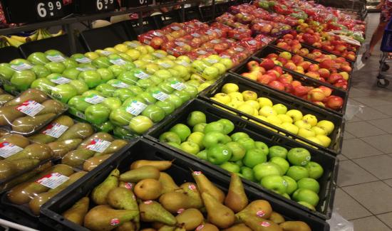 HOLANDA: EXPORTACIONES AGRÍCOLAS ALCANZARON LOS € 82.400 MILLONES EL 2015