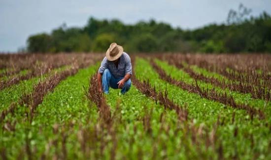 Hoy Se Conmemora El Día Mundial De La Agricultura 