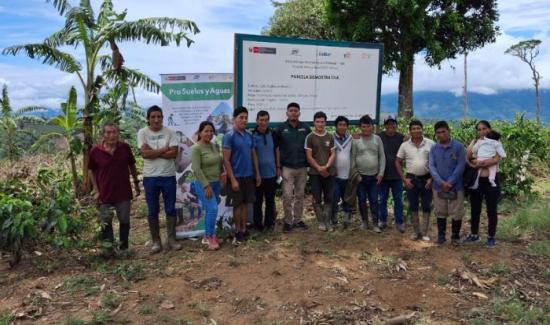 INIA transfers technologies to improve soil quality in coffee in Junín