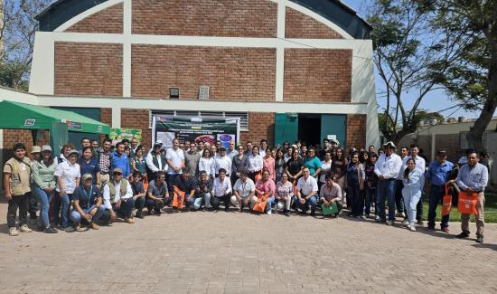 Avances en la Adaptación del Cultivo de Cerezo en Perú: Nuevas Iniciativas y Desafíos