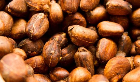 La castaña amazónica, el fruto que demuestra que el bosque en pie también exporta