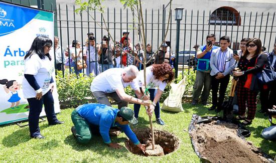 Lanzan iniciativa para plantar 10 millones de árboles urbanos al 2021