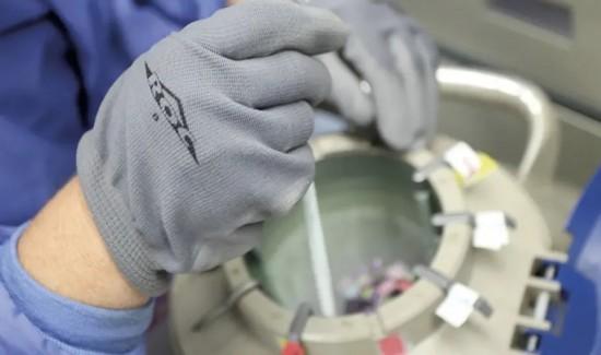 Rechazan Resolución Ministerial que restringe uso de semen bovino congelado en zona andina