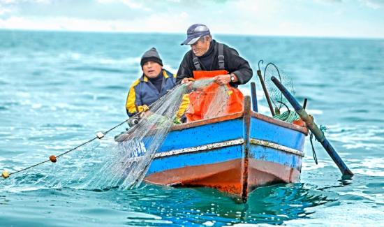 Sanipes Destaca Labor De Miles De Pescadores Artesanales Del País 1616