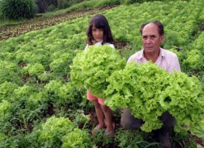 “AGRICULTURA FAMILIAR DEBE SER REVALORADA POR SU CONTRIBUCIÓN EN LA SEGURIDAD ALIMENTARIA”