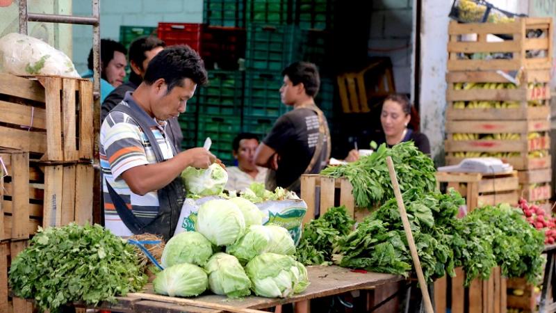 10 claves para el futuro de la alimentación en América Latina