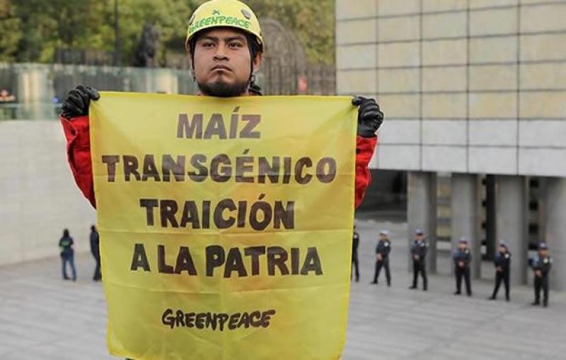 109 PREMIOS NOBEL ACUSAN A GREENPEACE DE “CRIMEN CONTRA LA HUMANIDAD” POR CAMPAÑA CONTRA TRANSGÉNICOS