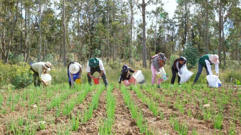 12 regiones del país ya cuentan con Mapa de Fertilidad del Suelo agrario