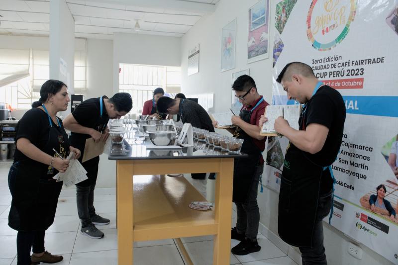 15 contenedores y 24 microlotes de cafés finos clasificaron a la etapa final del Concurso de Café Fairtrade Golden Cup Perú