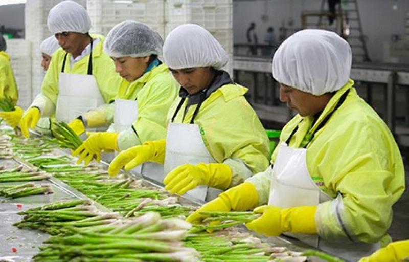 19% DE EMPRESAS PREVÉ CONTRATAR MÁS PERSONAL EN PRIMER TRIMESTRE DE 2016