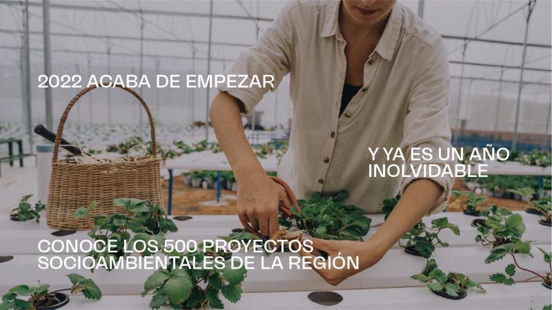 19 proyectos peruanos dentro del ranking de los 500 mejores y 5 finalistas en la novena edición de Premios Verdes