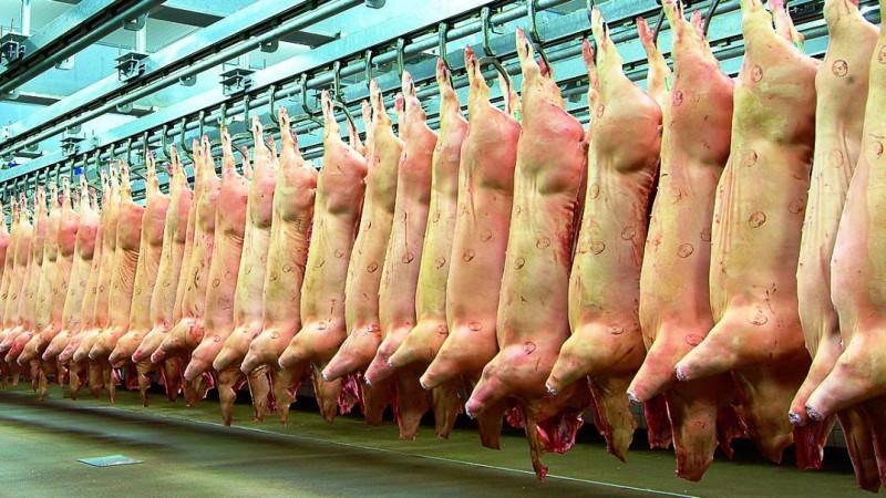 195 mil toneladas de carne de cerdo de comercializarían en Perú este año