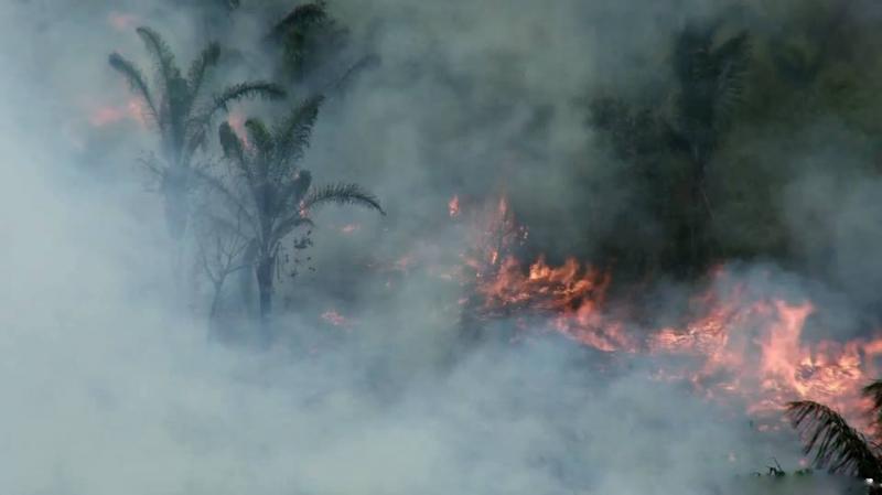 20 mil hectáreas de bosque en peligro por incendio forestal en Satipo