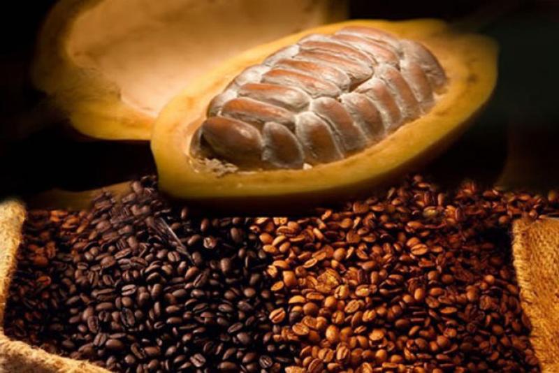 22 Convención Nacional del Café y Cacao abordará amplia agenda de actualidad para ambos cultivos
