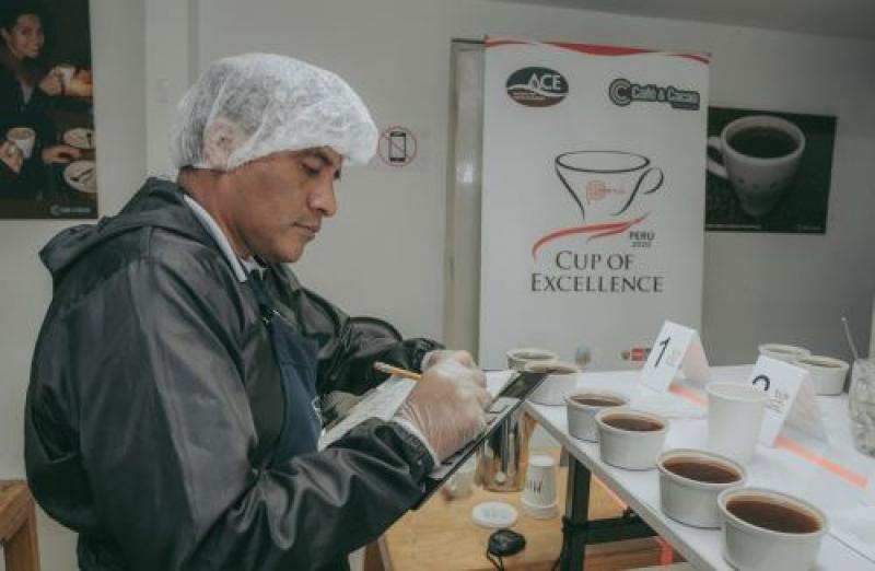 36 variedades compiten por ser el mejor café del Perú