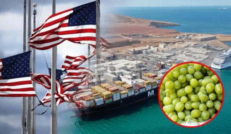 4.500 toneladas de uva hacia Estados Unidos fueron embarcadas en puerto de Paracas