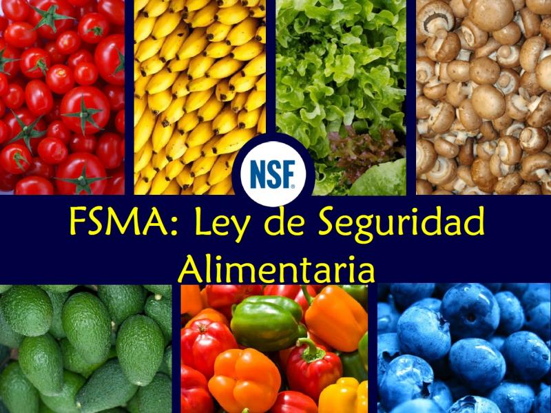 60 profesionales peruanos podrán capacitar en BPA para la producción y exportación de frutas y hortalizas frescas