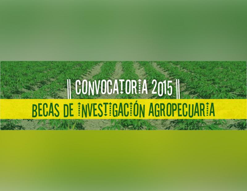 ACCA LANZA BECAS DE INVESTIGACIÓN EN AGRICULTURA SOSTENIBLE
