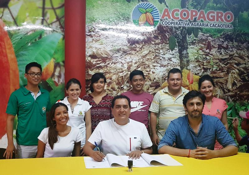 Acopagro sembrará 240 mil árboles maderables