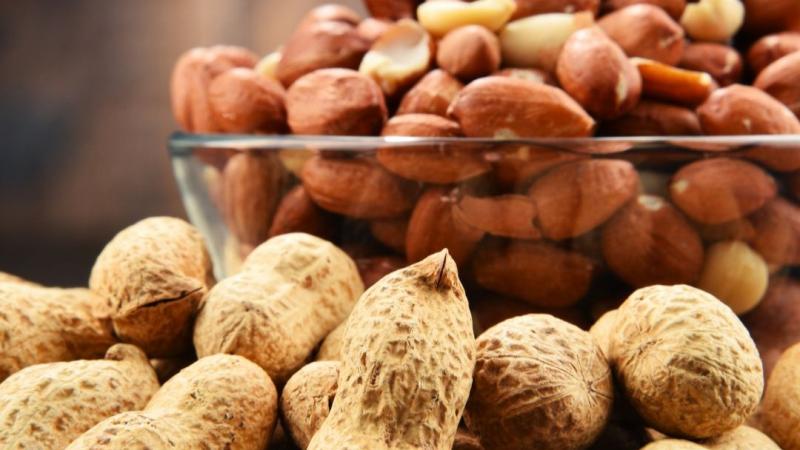 Actualidad y tendencias del mercado mundial de maní