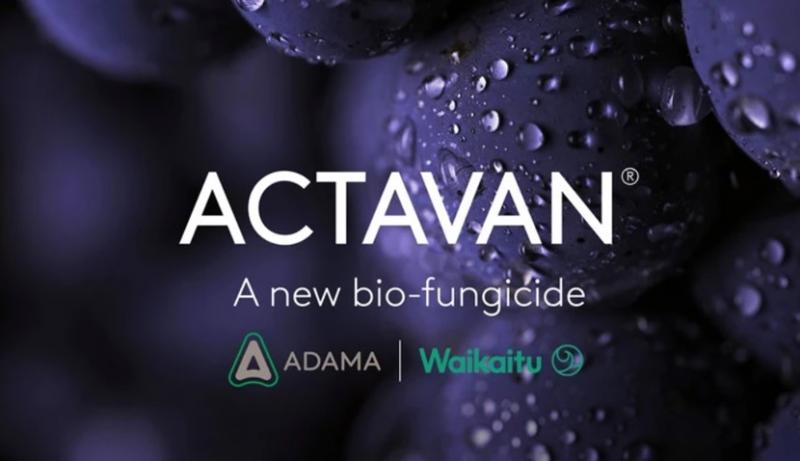 ADAMA obtiene en Perú el registro de ACTAVAN®, su primer biofungicida global