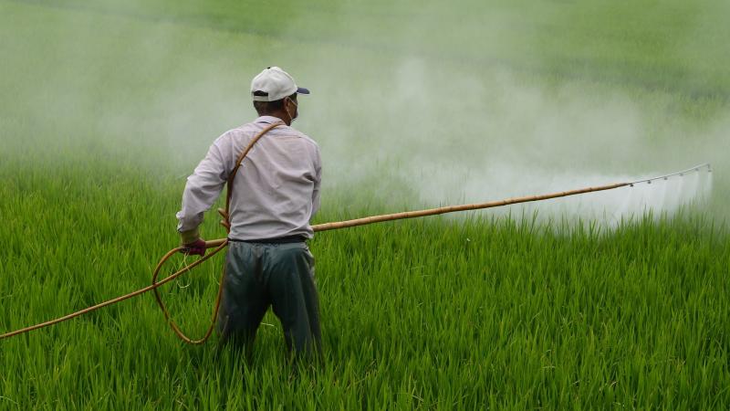 ADEX exige prohibir importación del plaguicida Clorpirifos técnico por su riesgo a la salud y el  ambiente