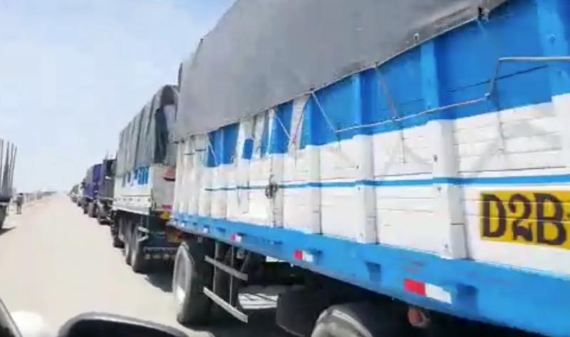 ADEX pide a transportistas de carga de Paita no afectar exportaciones