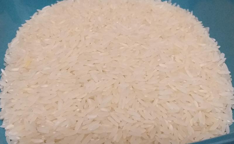 ADEX pronostica mayor exportación de arroz