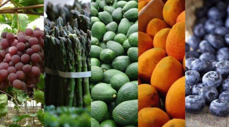 AGAP: Exportación de frutas y hortalizas frescas alcanzarían los US$ 5.657 millones este año