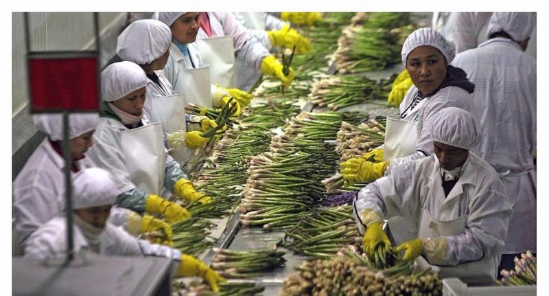 AGAP: Exportaciones peruanas de frutas y hortalizas se desaceleraron con la nueva Ley Agraria
