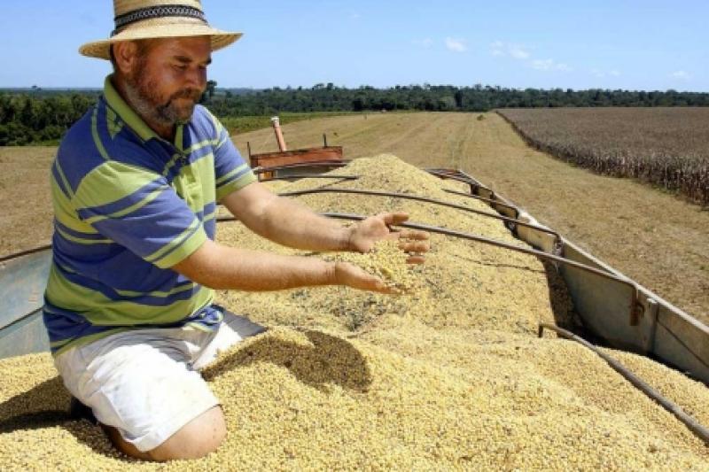 Agricultores argentinos aceptan pagar regalías indefinidamente por semillas transgénicas