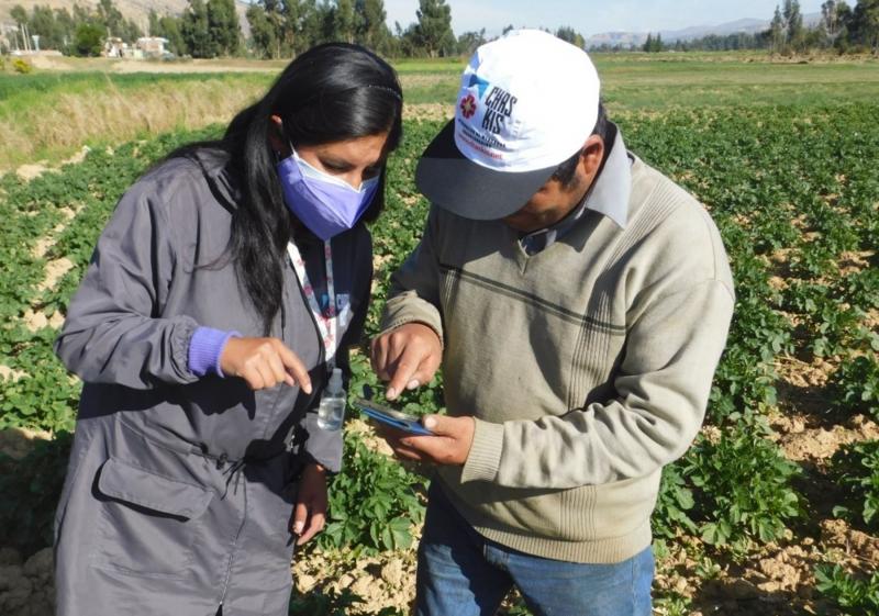 Agricultores de Junín logran mejores precios para sus productos con apoyo del Midagri