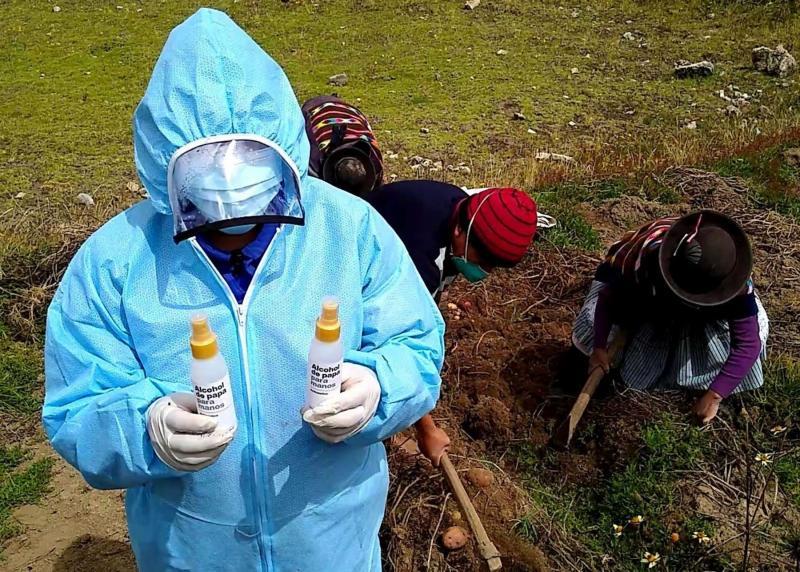 Agricultores se unen a empresa y fabrican ‘alcohol de papa nativa’ para las manos