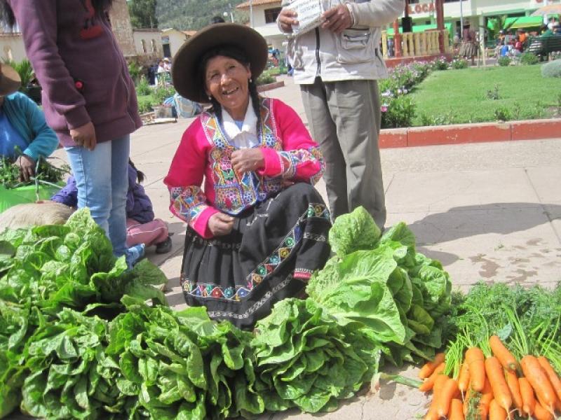 AGRICULTURA CERTIFICÓ A 137 PRODUCTORES DE HORTALIZAS ORGÁNICAS