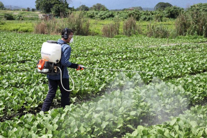 Agricultura peruana: ¿Cómo mejorar sus procesos?