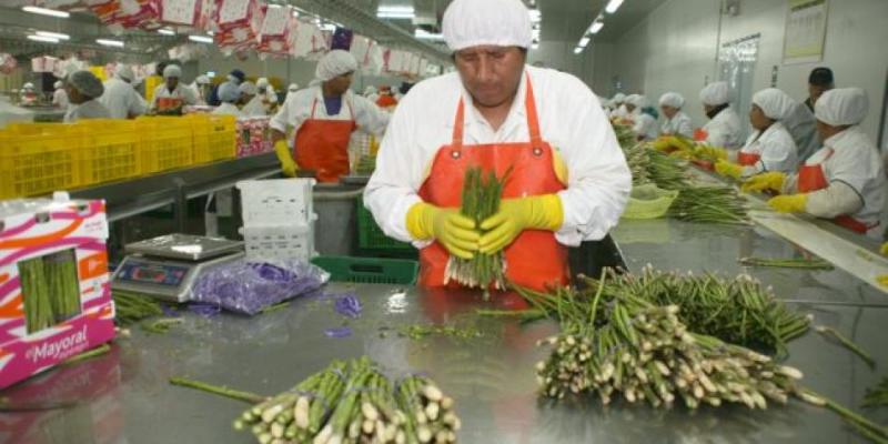 Agricultura se consolidó como el segundo mayor generador de divisas del Perú en 2017